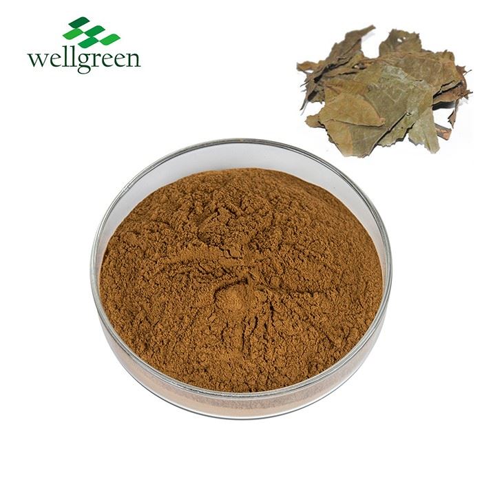 Microcos Paniculata Extract Powder