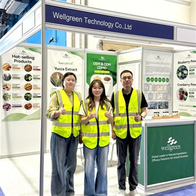 Wellgreen זורח ב-VIV MEA 2025, מרחיב את הנוכחות הגלובלית שלו